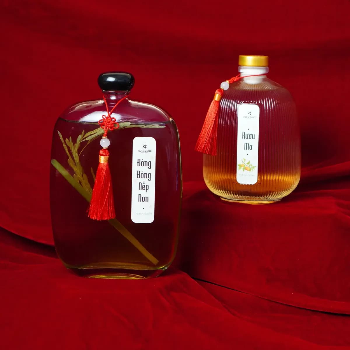 Tết 202502242